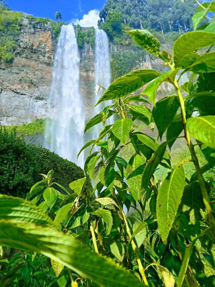 Sipi Falls