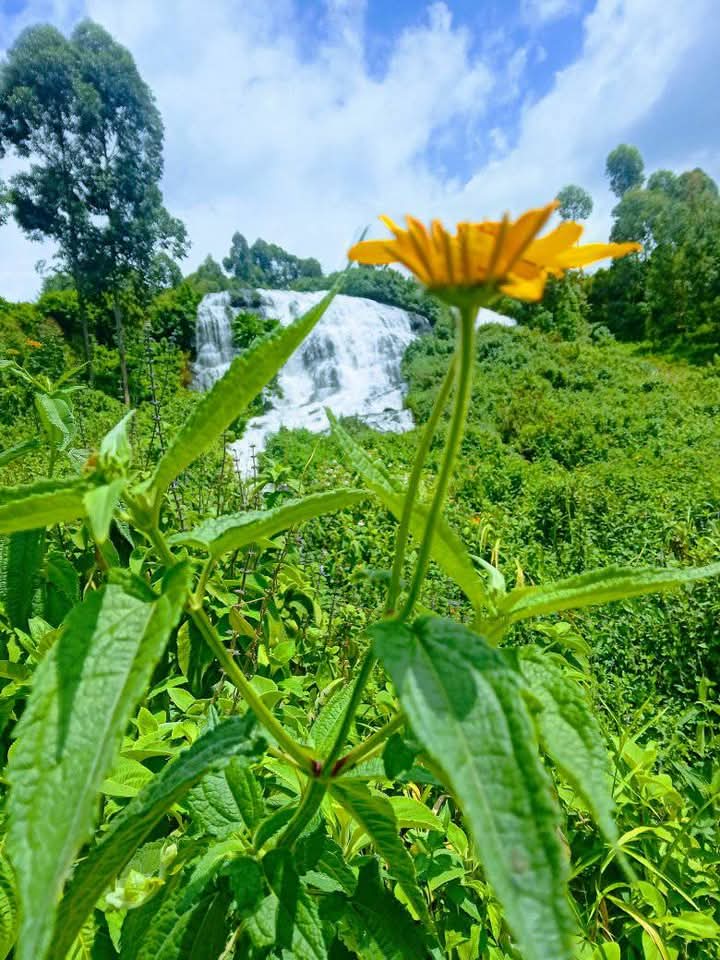Sipi Falls