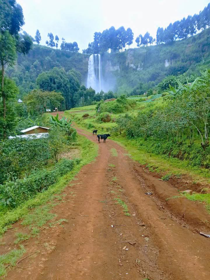 Sipi Falls