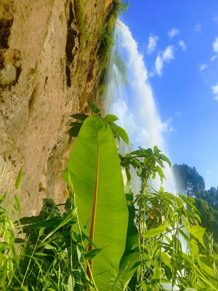 Sipi Falls