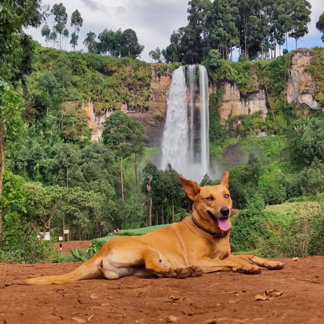 Travel at Sipi